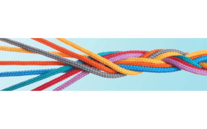 Requirement Traceability