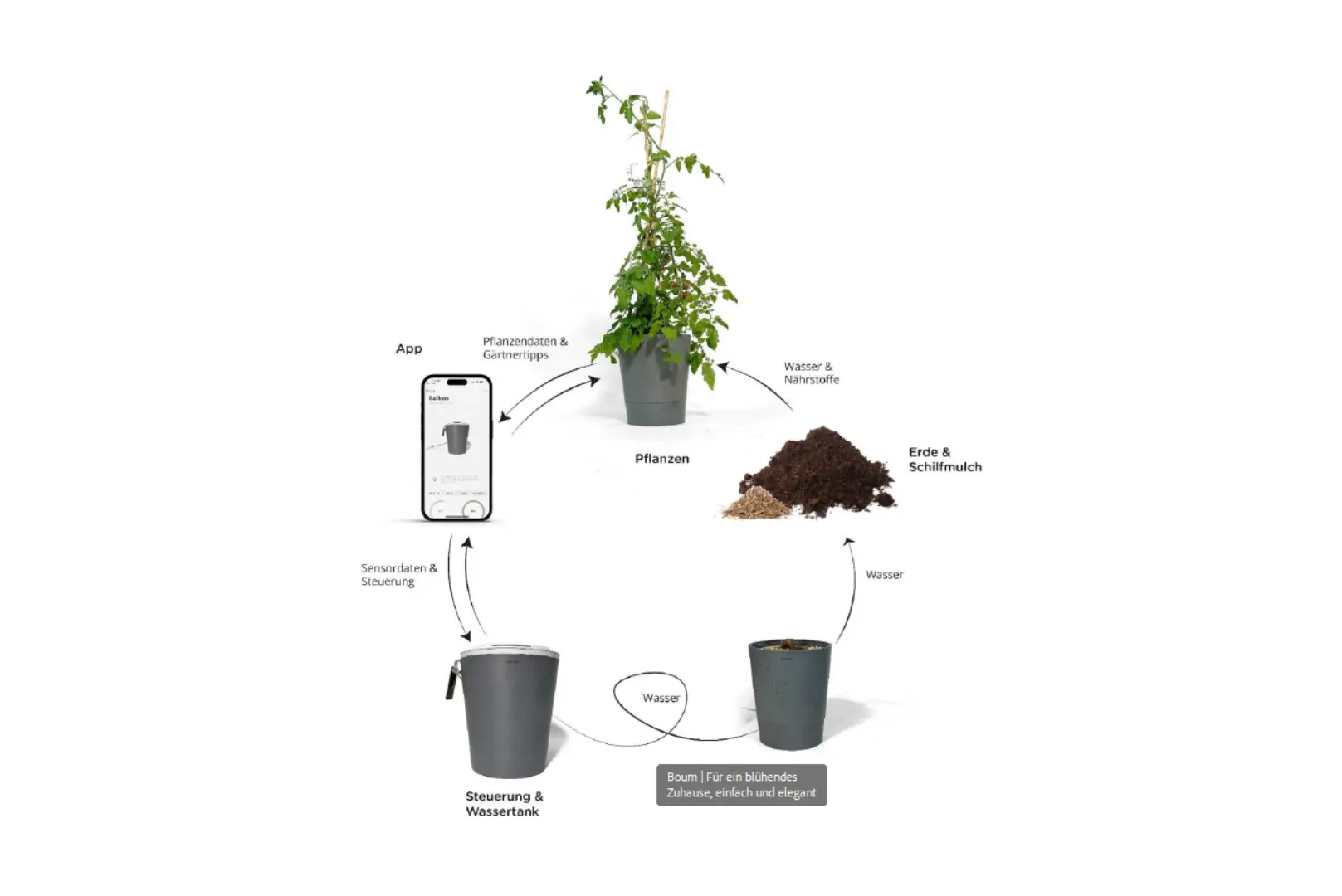 IoT & Monitoring Solutions
